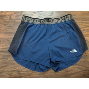 The north face shorts